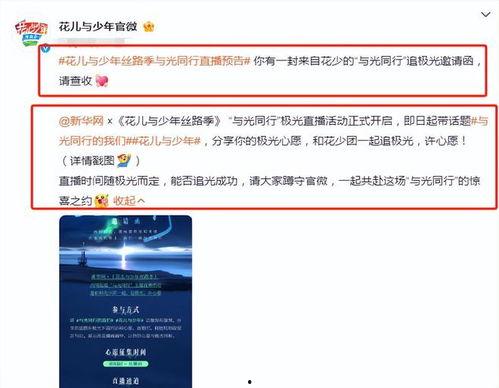 冰岛爆料最新视频播放下载,最新视频播放下载，揭秘神秘事件真相